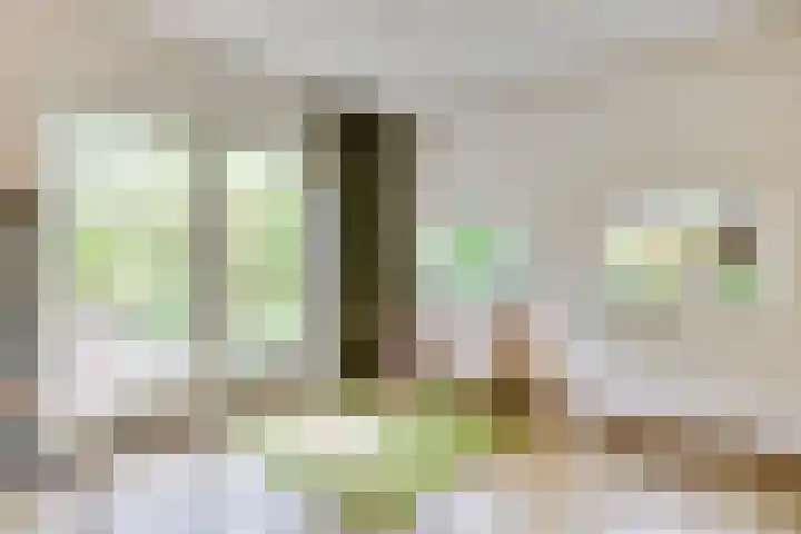 Apollolaan 66 Son en Breugel thumbnail 8