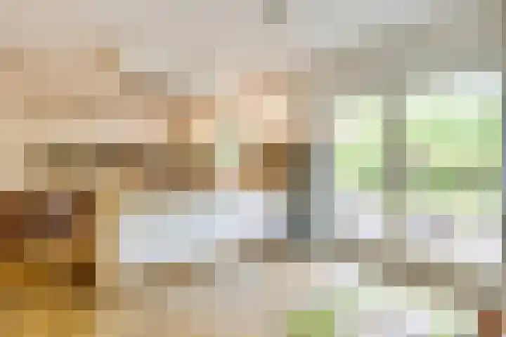 Apollolaan 66 Son en Breugel thumbnail 9