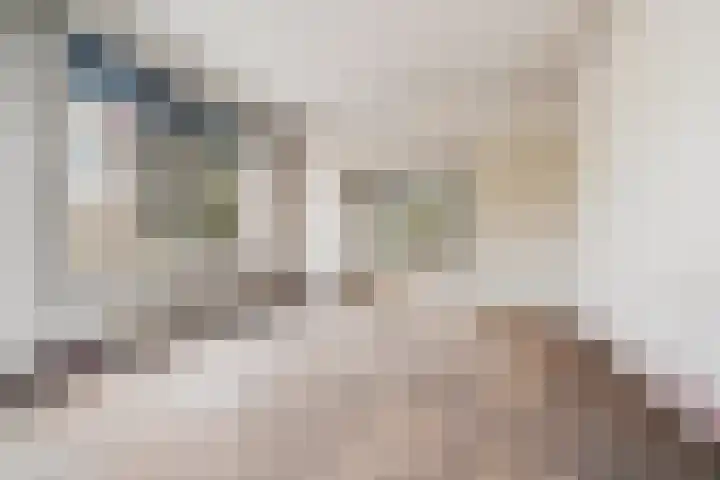 Apollolaan 67 1 Amsterdam thumbnail 4