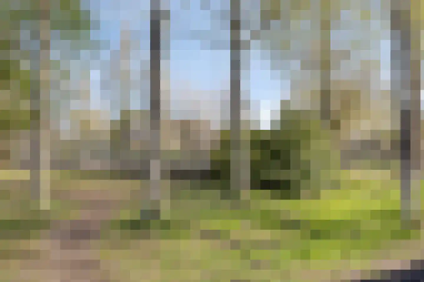 Apollolaan 69 Enschede thumbnail 26
