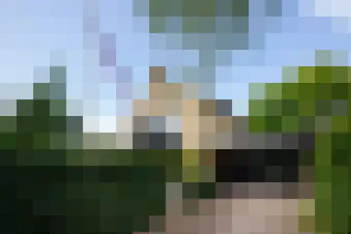 Apollolaan 7 in Oegstgeest