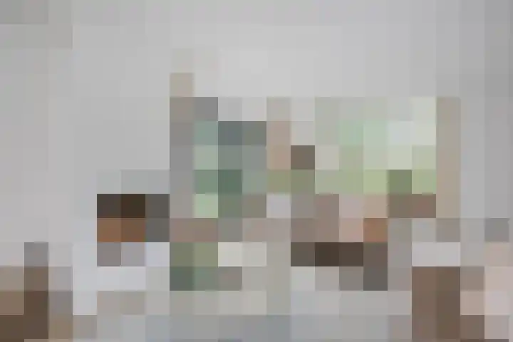 Apollolaan 7 Oegstgeest thumbnail 11