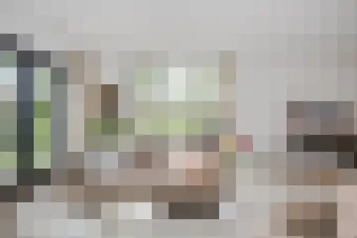 Apollolaan 7 Oegstgeest thumbnail 12