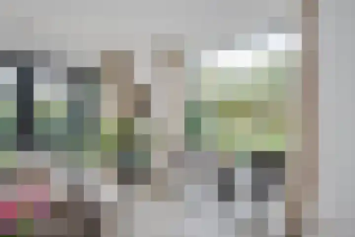 Apollolaan 7 Oegstgeest thumbnail 13