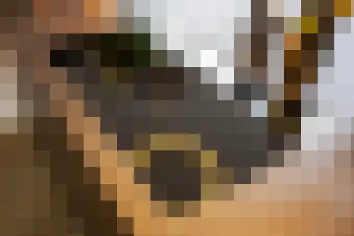 Apollolaan 7 Oegstgeest thumbnail 20