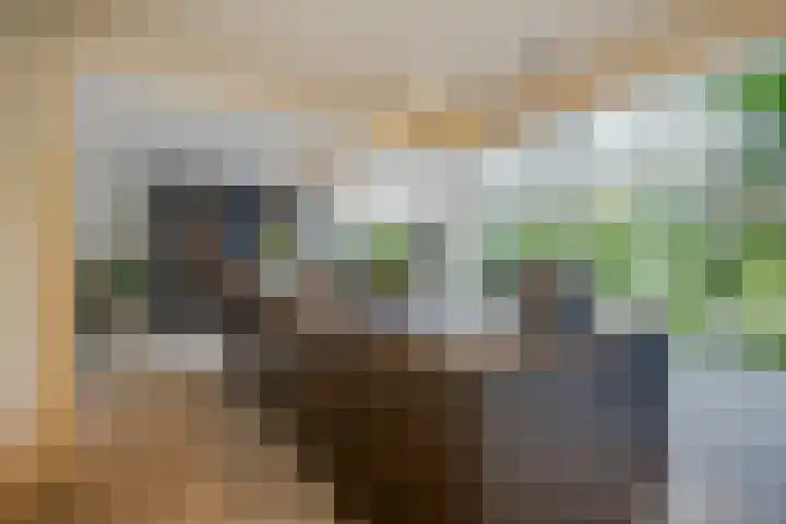 Apollolaan 7 Oegstgeest thumbnail 21