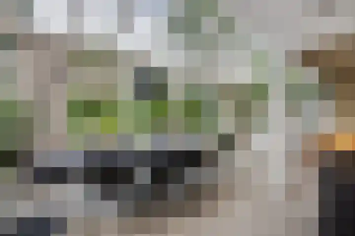 Apollolaan 7 Oegstgeest thumbnail 22