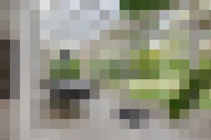 Apollolaan 7 Oegstgeest thumbnail 23
