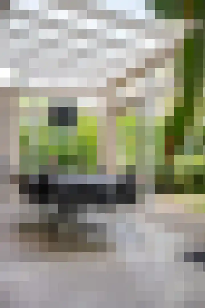 Apollolaan 7 Oegstgeest thumbnail 24