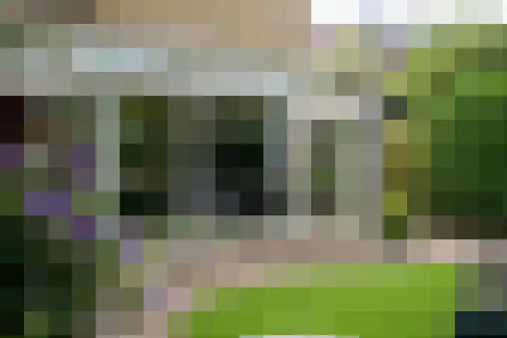 Apollolaan 7 Oegstgeest thumbnail 25