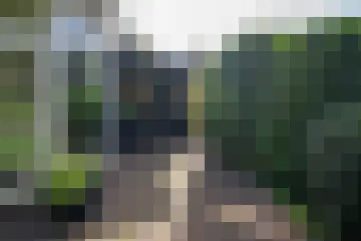 Apollolaan 7 Oegstgeest thumbnail 26