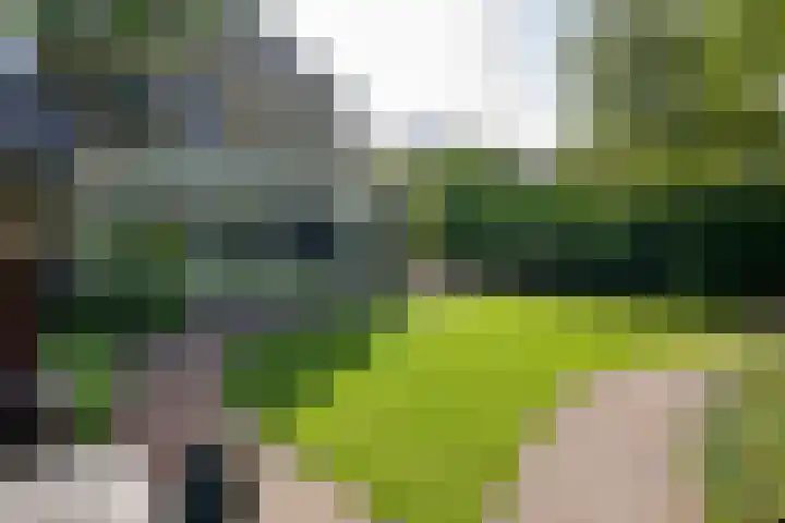 Apollolaan 7 Oegstgeest thumbnail 27