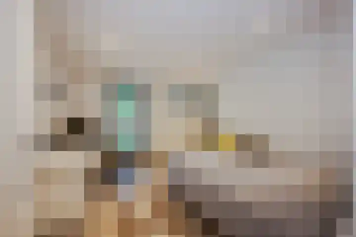 Apollolaan 7 Oegstgeest thumbnail 31