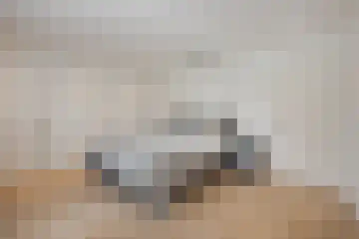 Apollolaan 7 Oegstgeest thumbnail 37