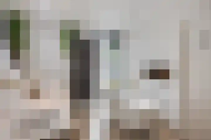 Apollolaan 7 Oegstgeest thumbnail 40
