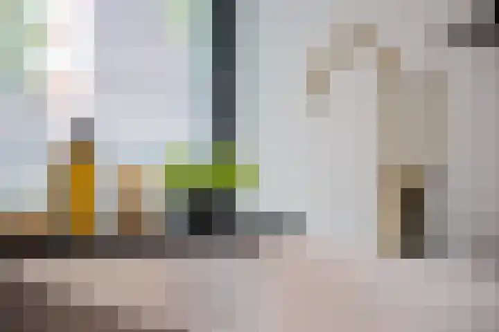 Apollolaan 7 Oegstgeest thumbnail 41