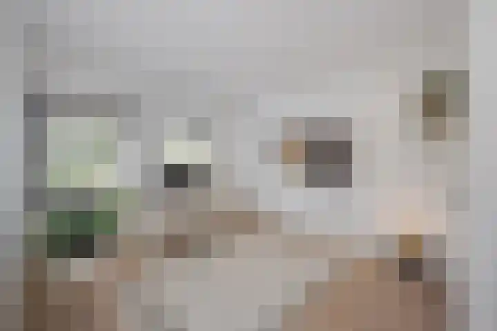 Apollolaan 7 Oegstgeest thumbnail 45