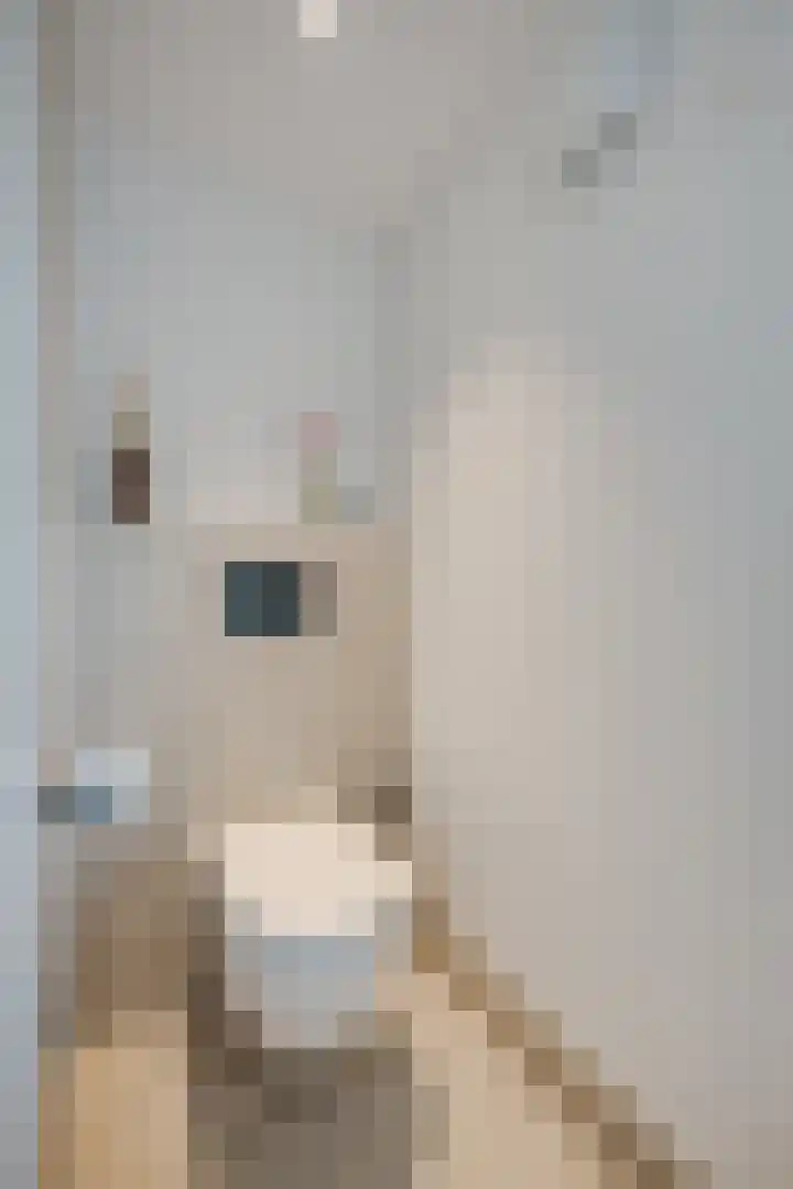 Apollolaan 7 Oegstgeest thumbnail 47