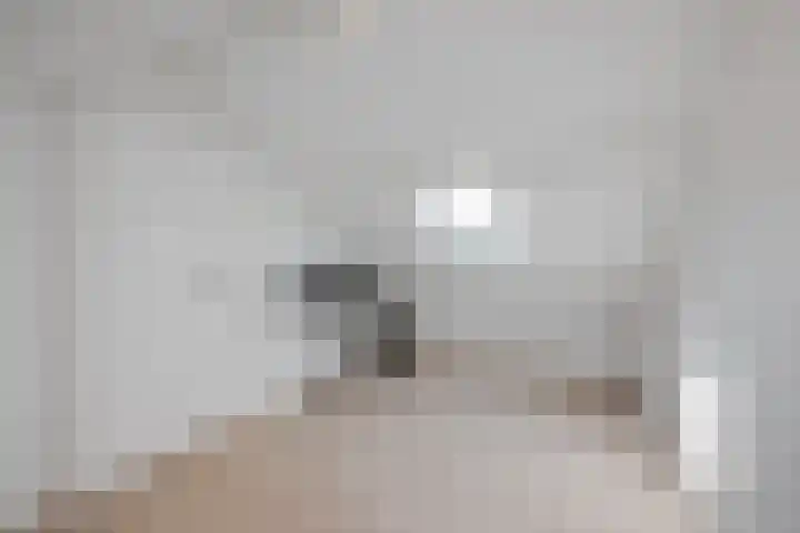 Apollolaan 7 Oegstgeest thumbnail 50
