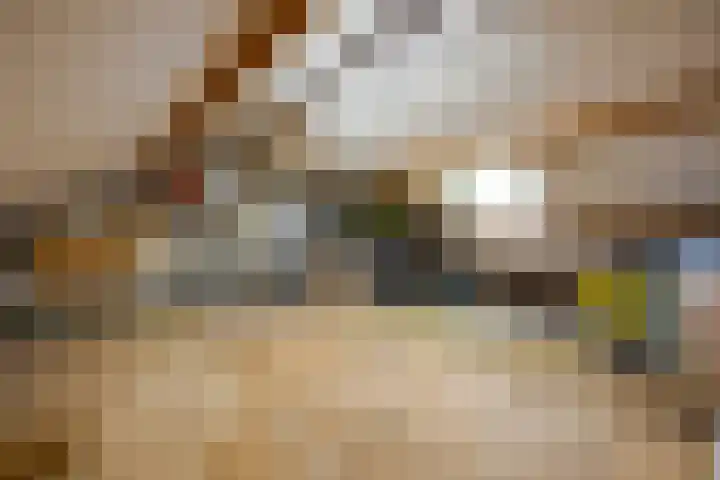Apollolaan 7 Oegstgeest thumbnail 55