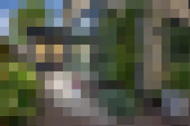 Apollolaan 7 Oegstgeest thumbnail 57