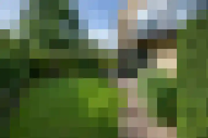 Apollolaan 7 Oegstgeest thumbnail 58
