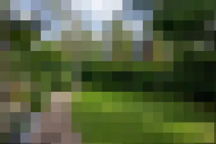 Apollolaan 7 Oegstgeest thumbnail 59