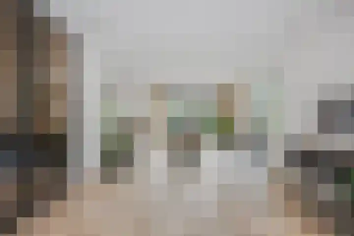 Apollolaan 7 Oegstgeest thumbnail 6