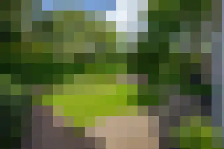 Apollolaan 7 Oegstgeest thumbnail 60