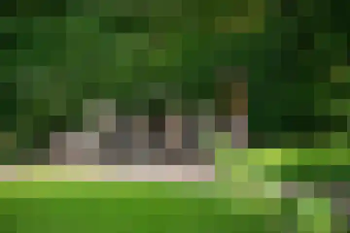 Apollolaan 7 Oegstgeest thumbnail 61