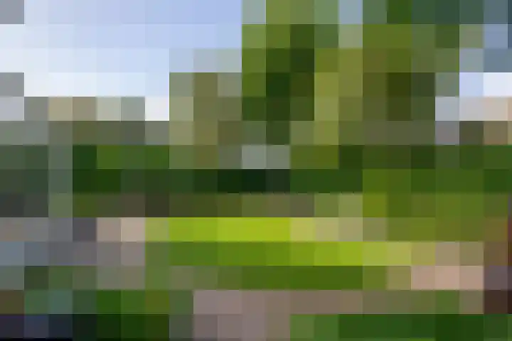 Apollolaan 7 Oegstgeest thumbnail 62