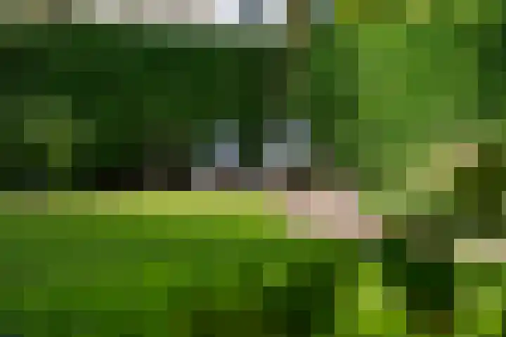 Apollolaan 7 Oegstgeest thumbnail 63