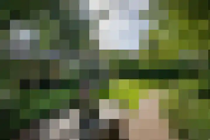 Apollolaan 7 Oegstgeest thumbnail 64