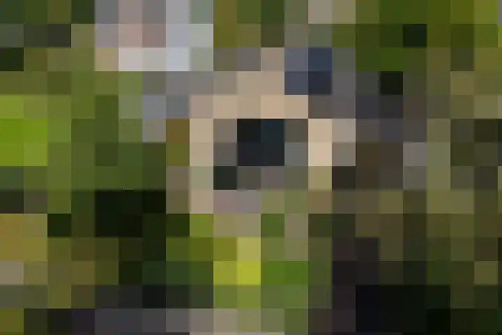 Apollolaan 7 Oegstgeest thumbnail 66