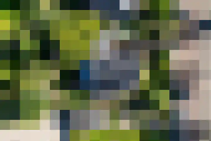 Apollolaan 7 Oegstgeest thumbnail 69