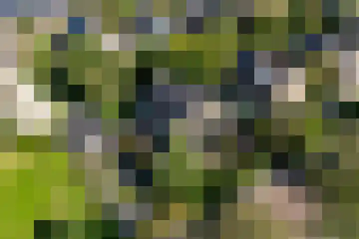Apollolaan 7 Oegstgeest thumbnail 71