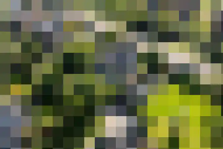 Apollolaan 7 Oegstgeest thumbnail 72