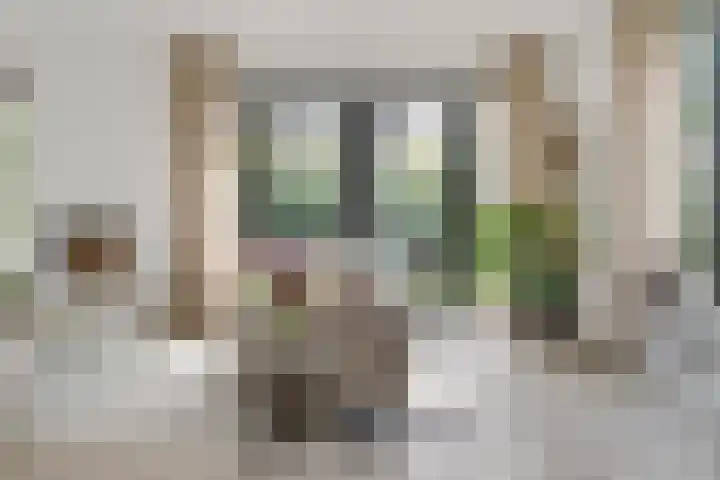 Apollolaan 7 Oegstgeest thumbnail 8