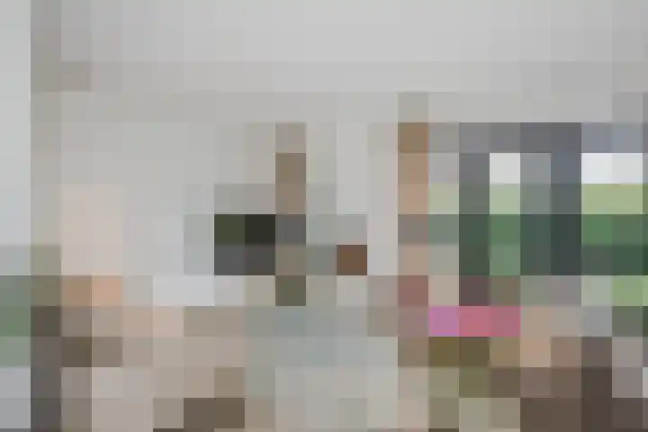 Apollolaan 7 Oegstgeest thumbnail 9
