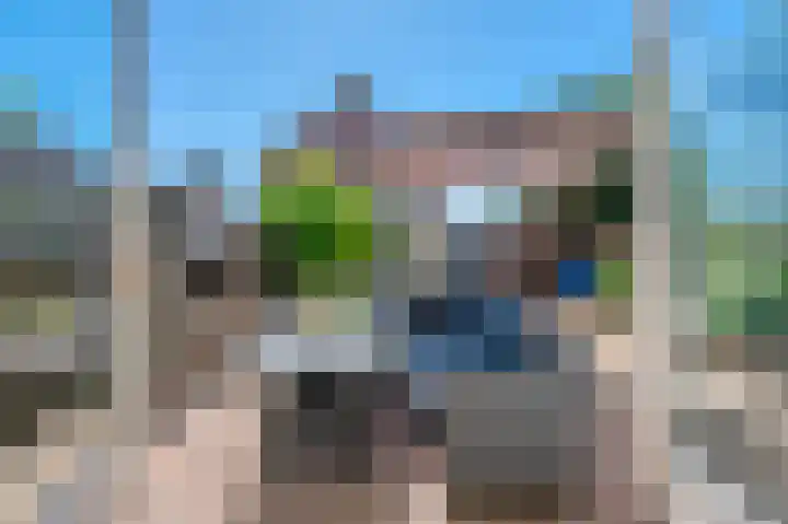 Apollolaan 70 Oude Pekela foto 3