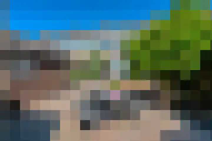 Apollolaan 70 Oude Pekela thumbnail 42
