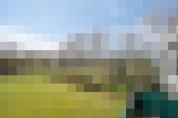 Apollolaan 724 Leiden thumbnail 33
