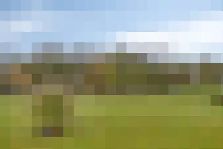 Apollolaan 724 Leiden thumbnail 34