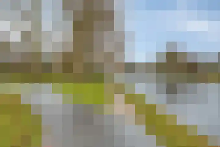 Apollolaan 724 Leiden thumbnail 37