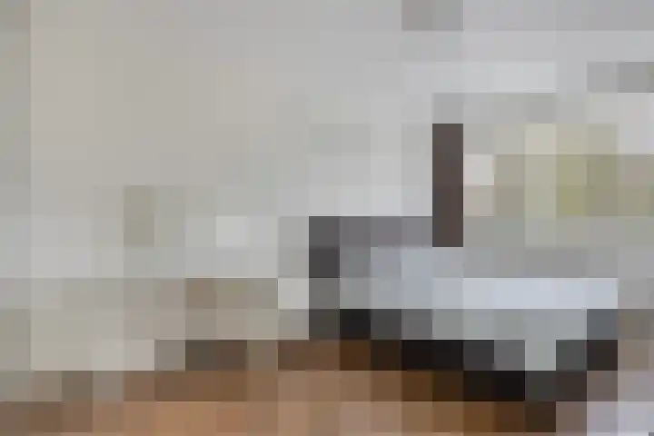 Apollolaan 724 Leiden thumbnail 5