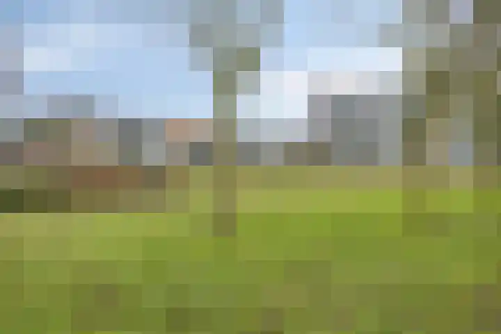 Apollolaan 724 Leiden thumbnail 6