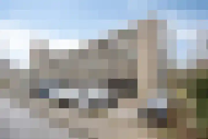 Apollolaan 724 Leiden thumbnail 7