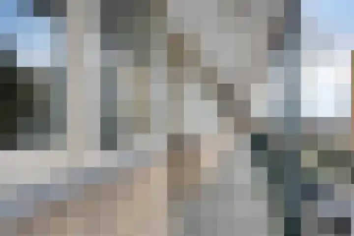 Apollolaan 724 Leiden thumbnail 9