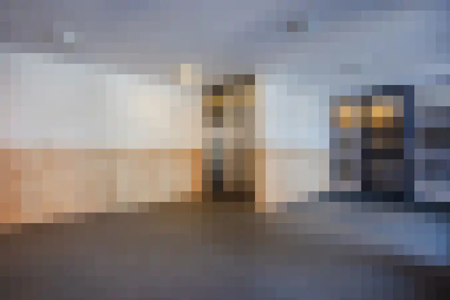 Apollolaan 78 Oegstgeest thumbnail 4