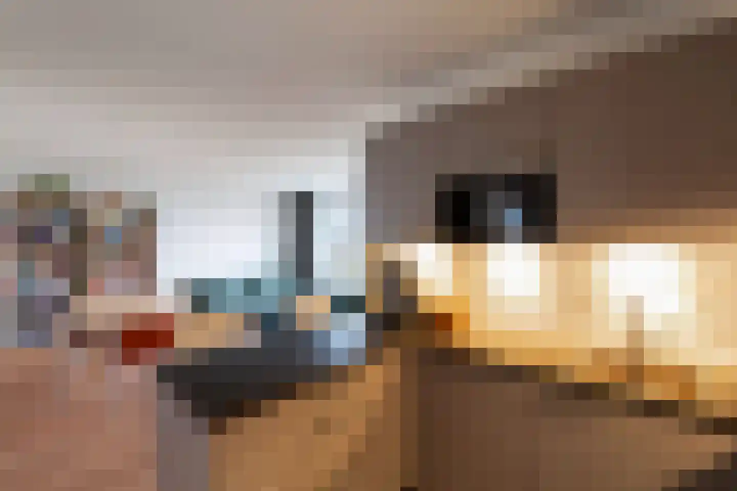 Apollolaan 80 Oegstgeest thumbnail 17